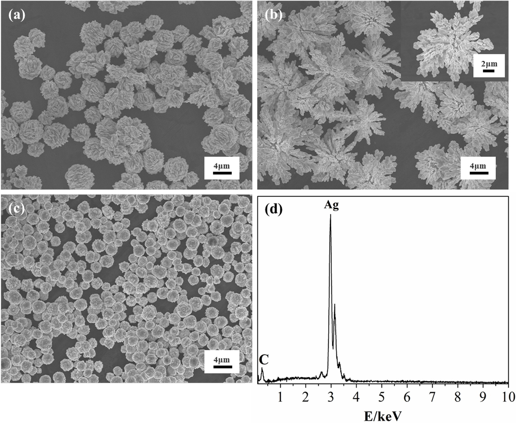 Silver Disc Science Highly surface-roughened quasi-spherical silver powders in back ...