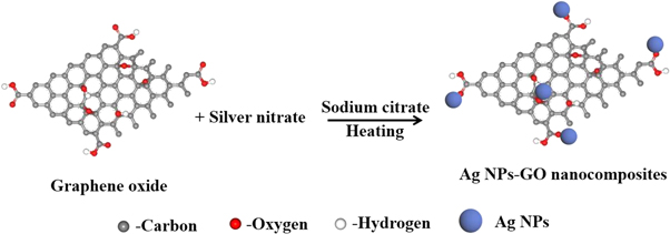 In situ synthesis of Ag nanoparticles-graphene oxide nanocomposites ...