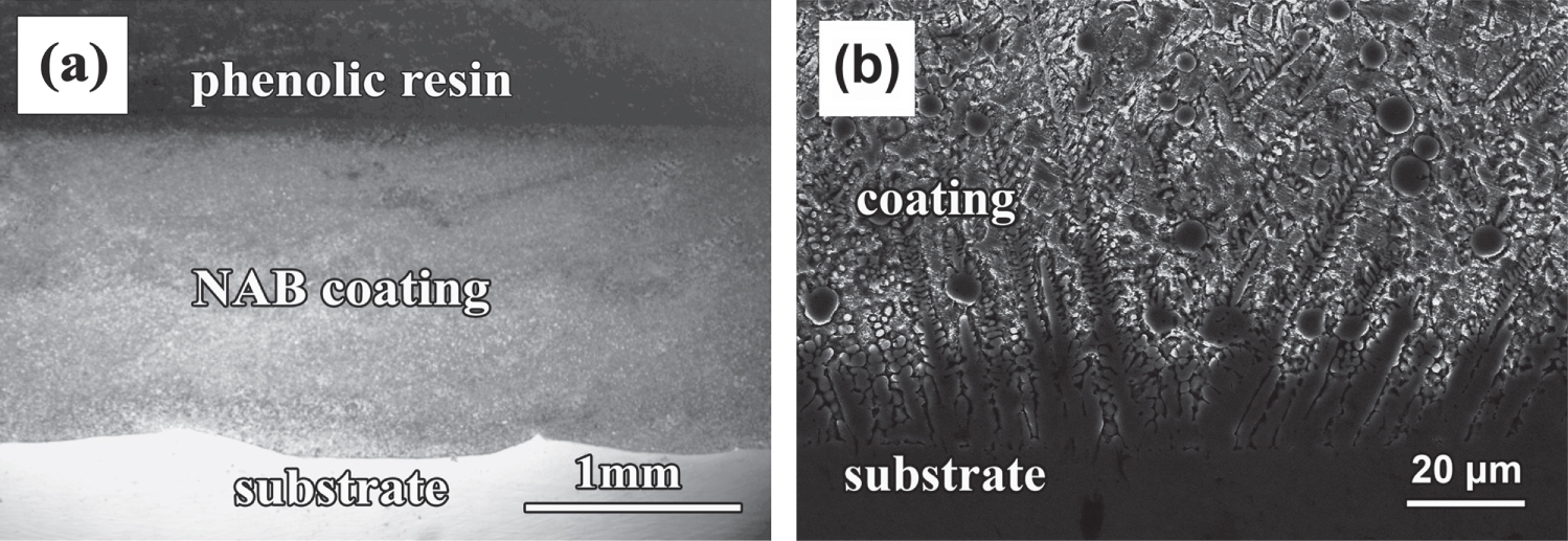 Thermal stability and corrosion resistance in a novel nickle aluminum ...