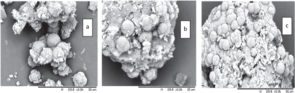Synthesis and characterization of zeolite from coal fly ash - IOPscience