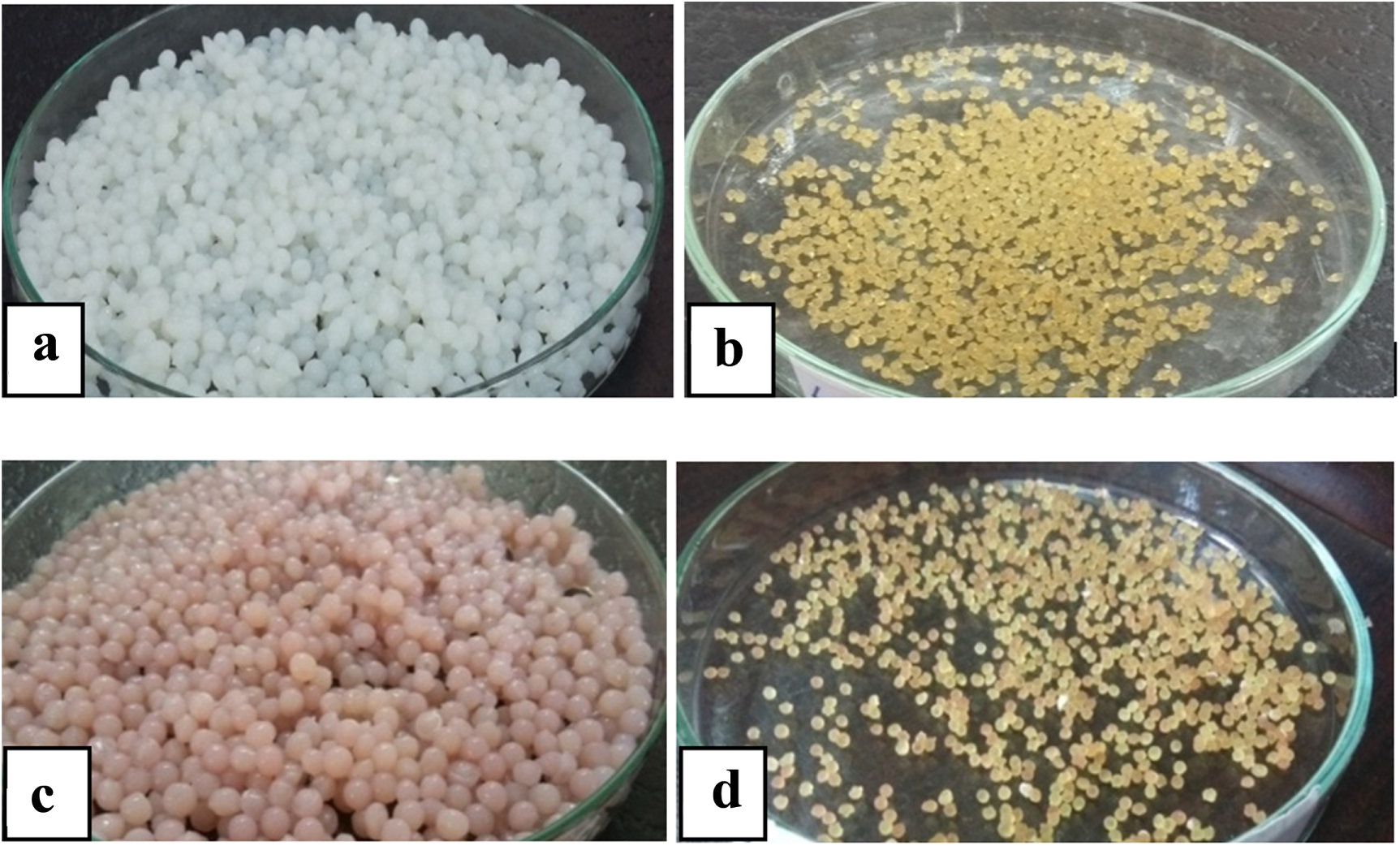 Preparation and physico-chemical characterization of β-cyclodextrin ...