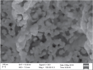 Electrical properties of spin coated Zn doped CuO films - IOPscience