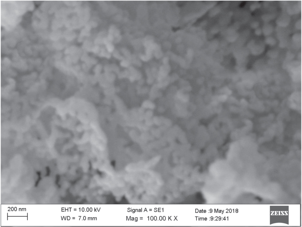 Electrical properties of spin coated Zn doped CuO films - IOPscience