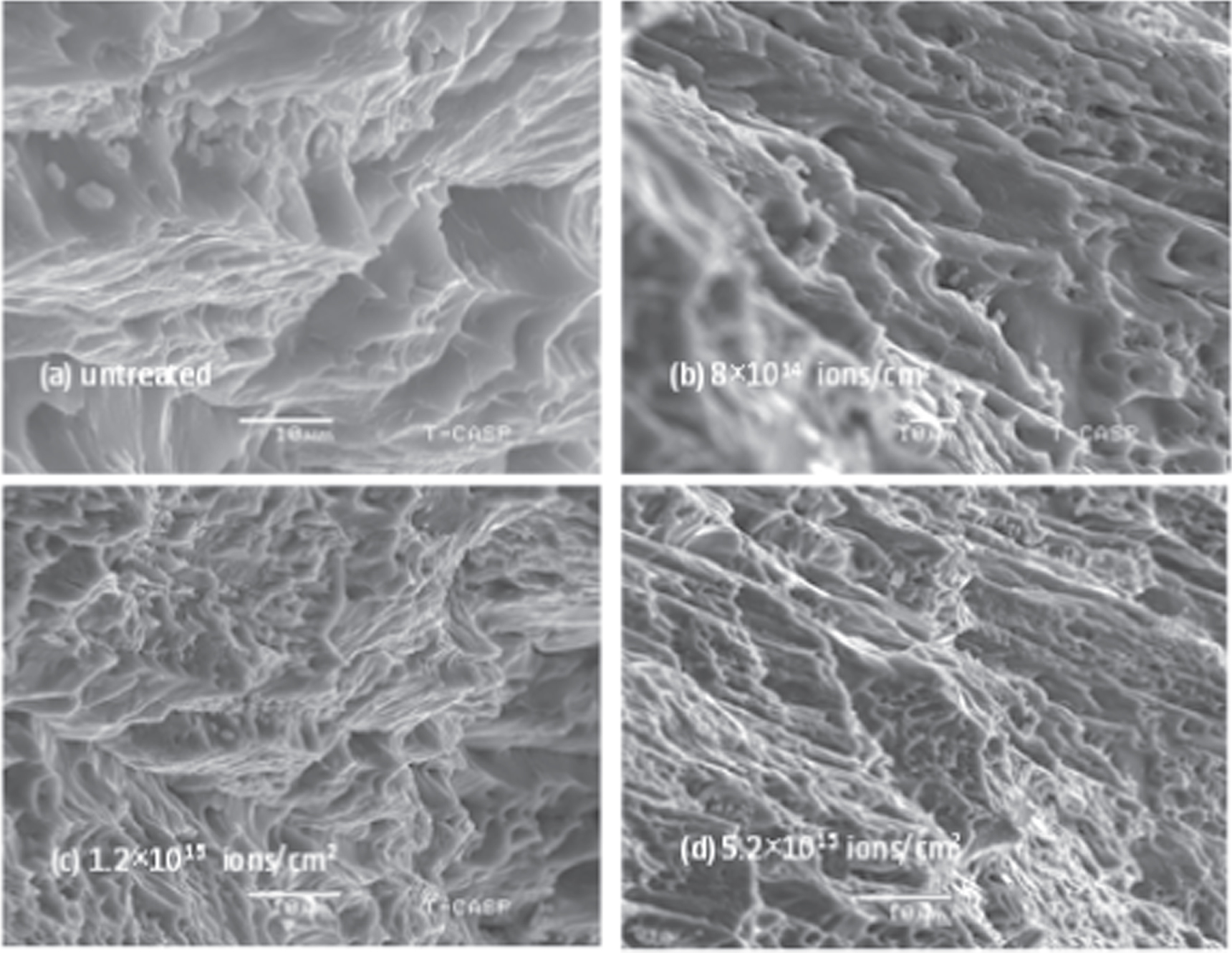 Study the effects of nitrogen ion implantation on structural and ...