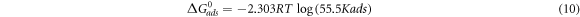 Equation (10)
