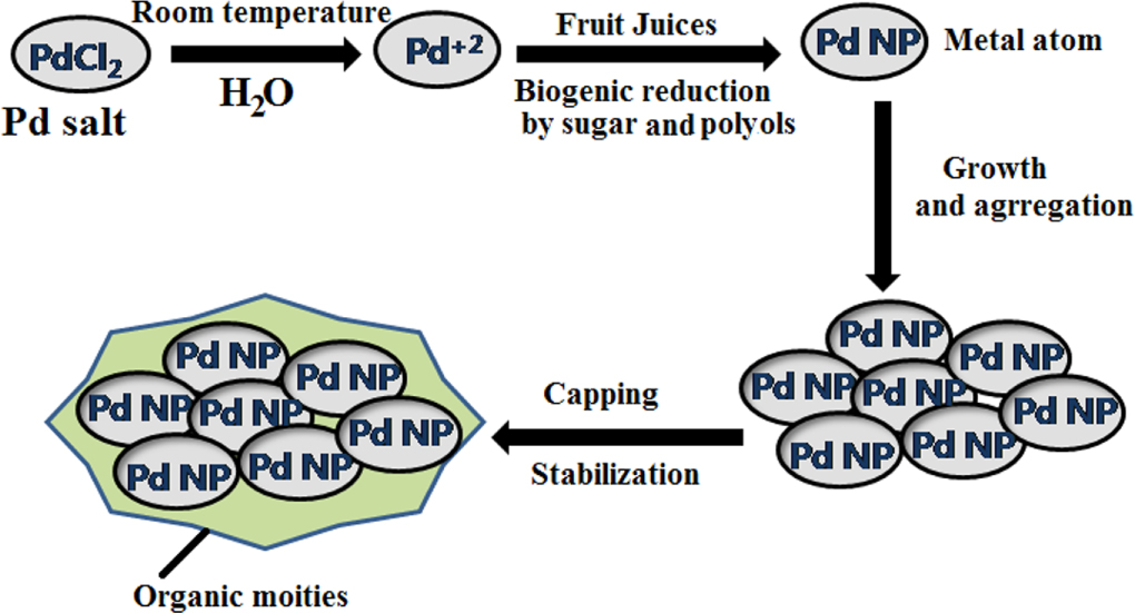 Facile green syntheses of palladium nanoparticles using fruit and aloe ...