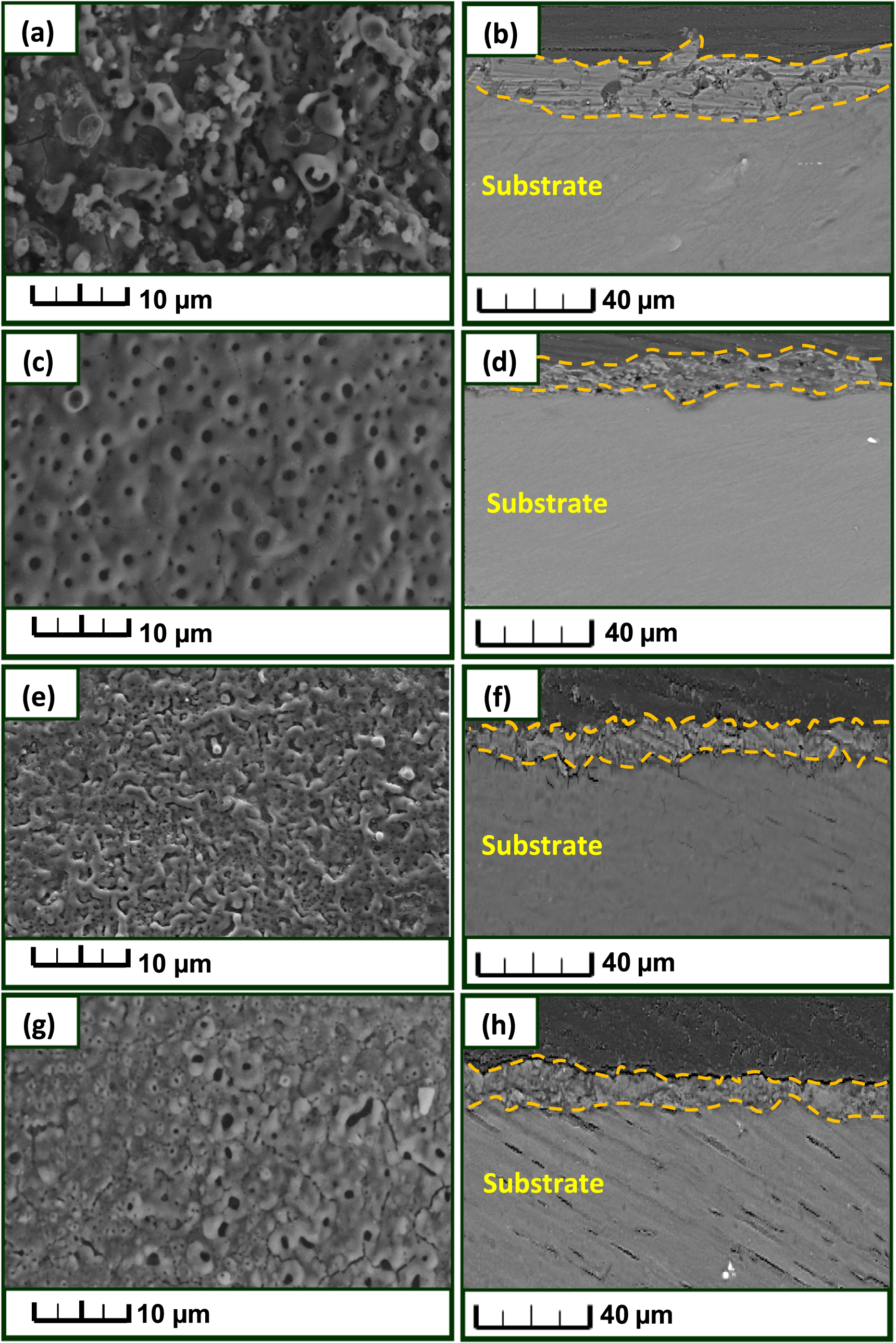 Microstructure and corrosion resistance of MAO coatings on AZ31 ...