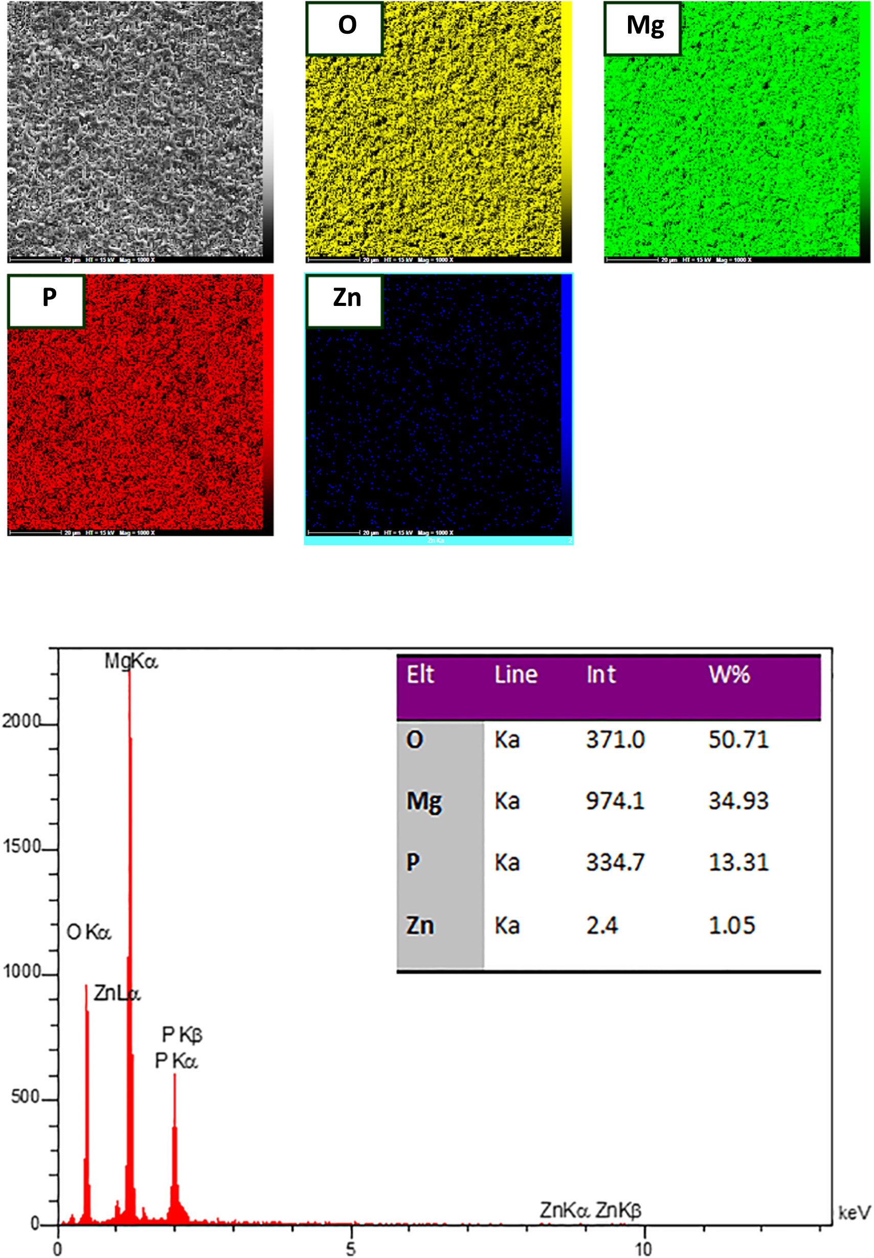 Microstructure and corrosion resistance of MAO coatings on AZ31 ...