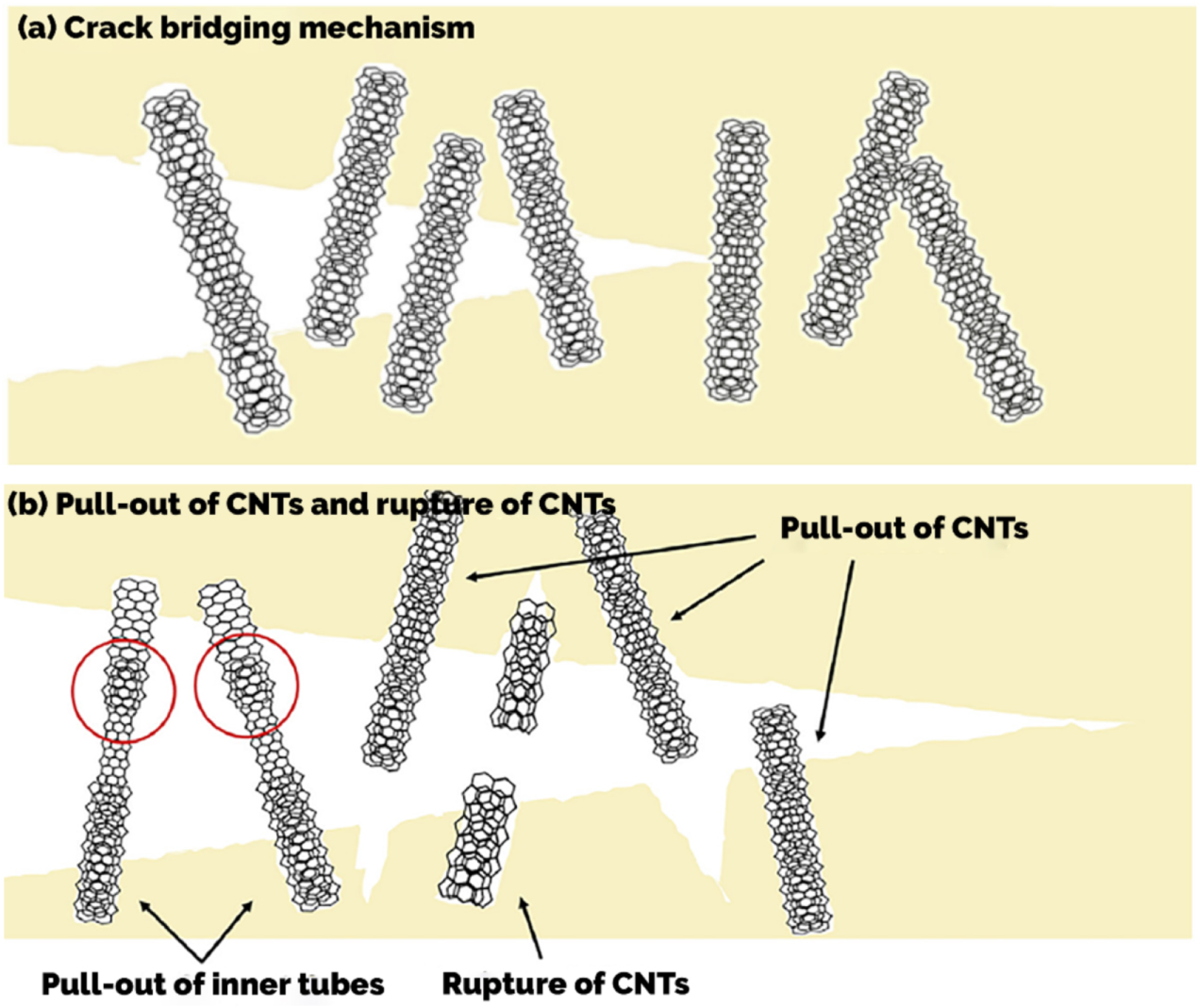 Cnt Defect Structure Critical review of the factors dominating the fracture toughness of CNT ...