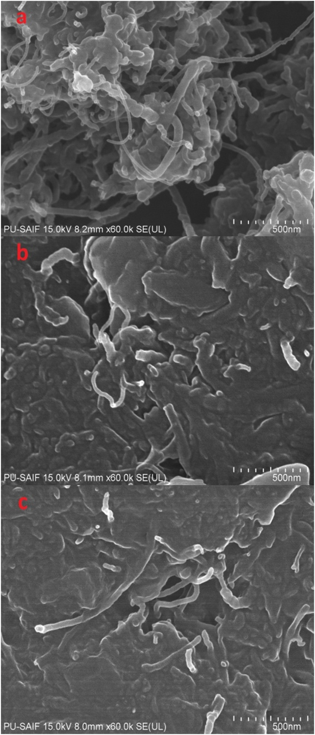 Effect of multi-walled carbon nanotubes on thermal stability of ...
