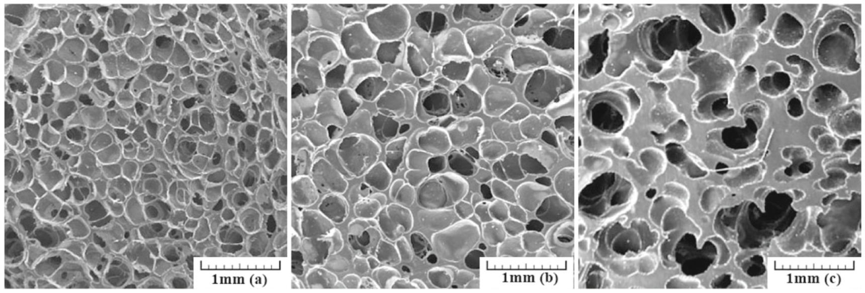 Foam Rework Matrix Rheological optimization of reactively modified polypropylene to ...