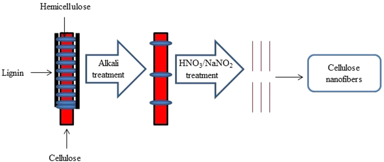 A simple approach for the isolation of cellulose nanofibers from banana ...