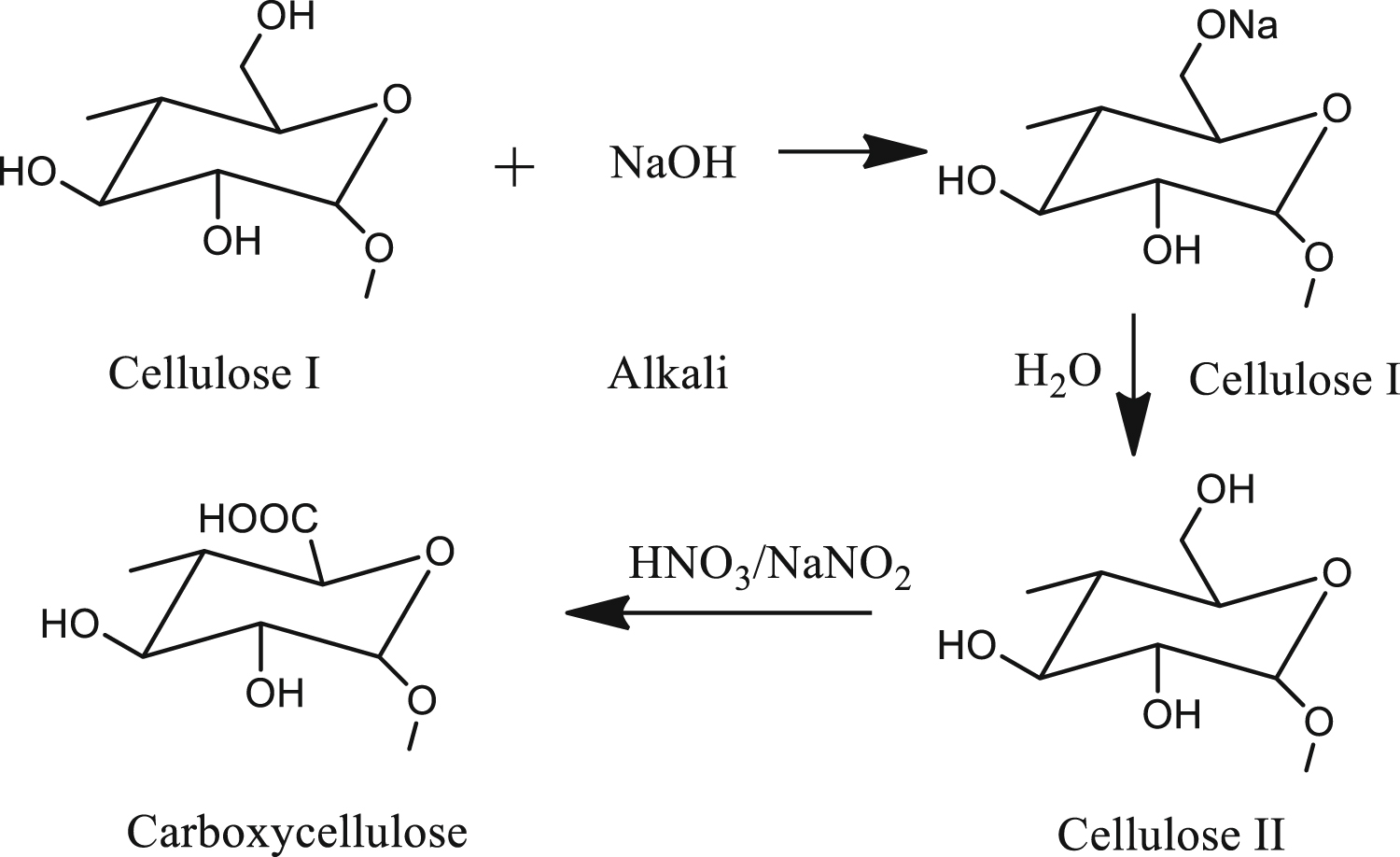A simple approach for the isolation of cellulose nanofibers from banana ...