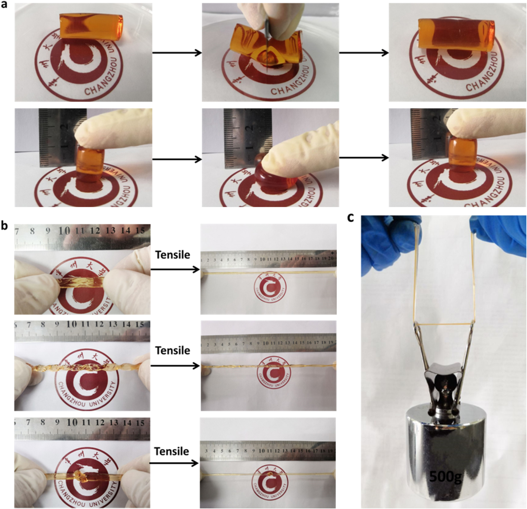 Conductive double-crosslinked network hydrogel with superior ...