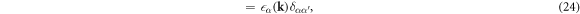 Equation (24)