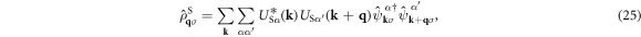 Equation (25)