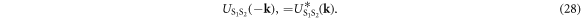 Equation (28)
