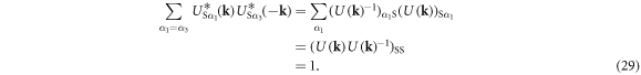 Equation (29)