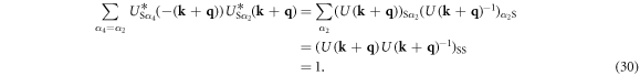 Equation (30)