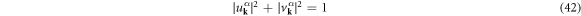 Equation (42)
