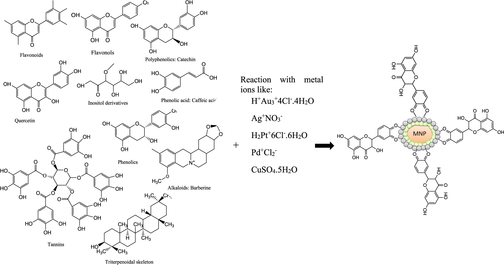 Green synthesis of metal and metal oxide nanoparticles via plant ...