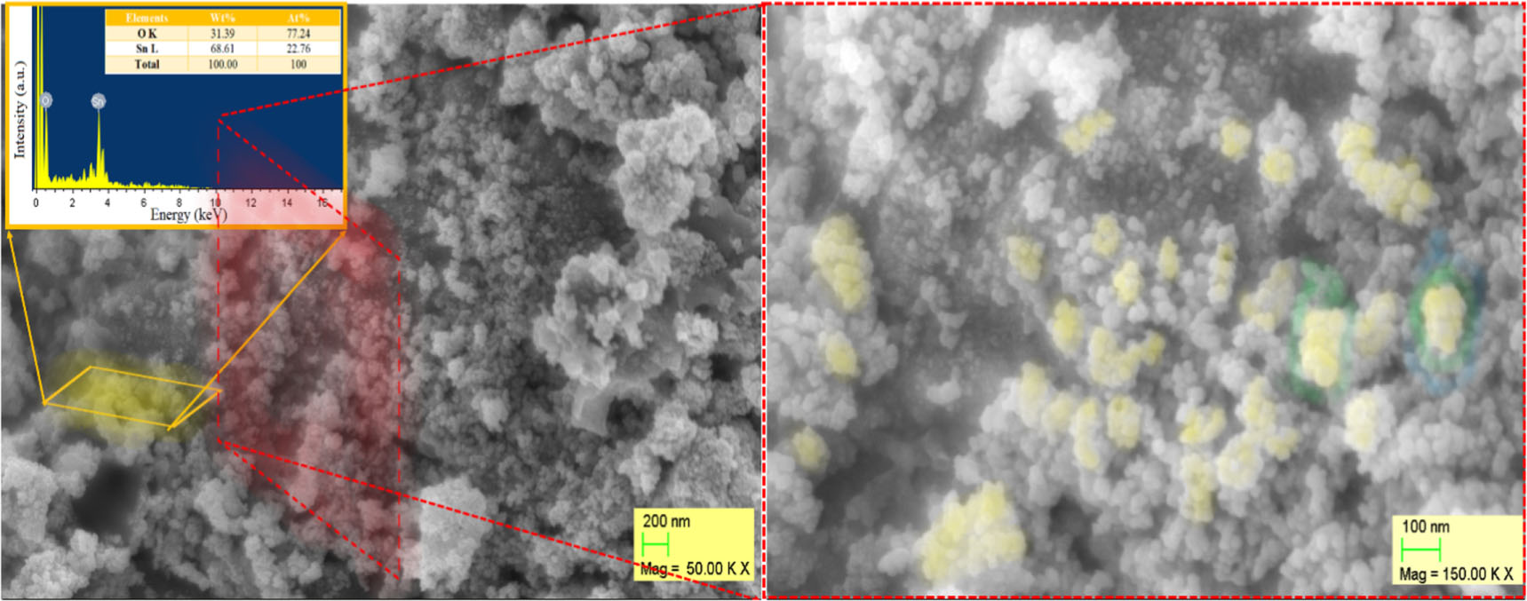 Green synthesis of SnO2 NPs for solar light induced photocatalytic ...