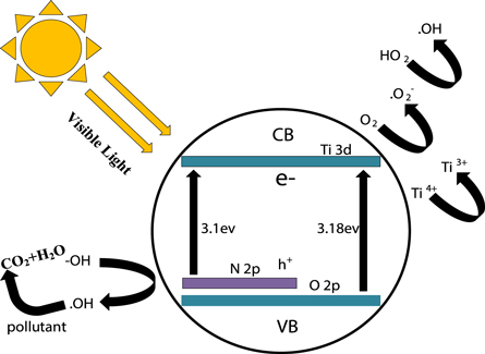 Facile synthesis of nitrogen-doped titanium dioxide with enhanced ...