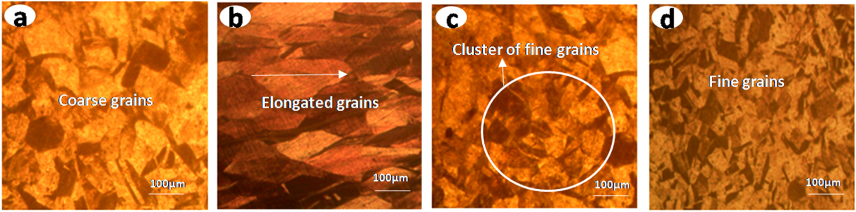 Effects of severe plastic deformation by ECAP on the microstructure and ...