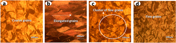Effects of severe plastic deformation by ECAP on the microstructure and ...