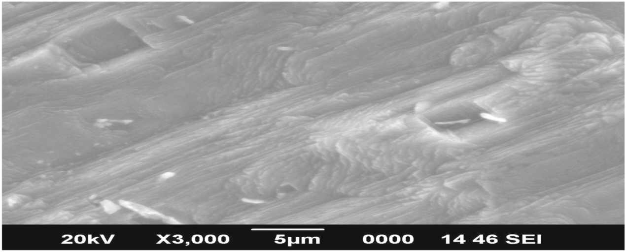 Effects of severe plastic deformation by ECAP on the microstructure and ...