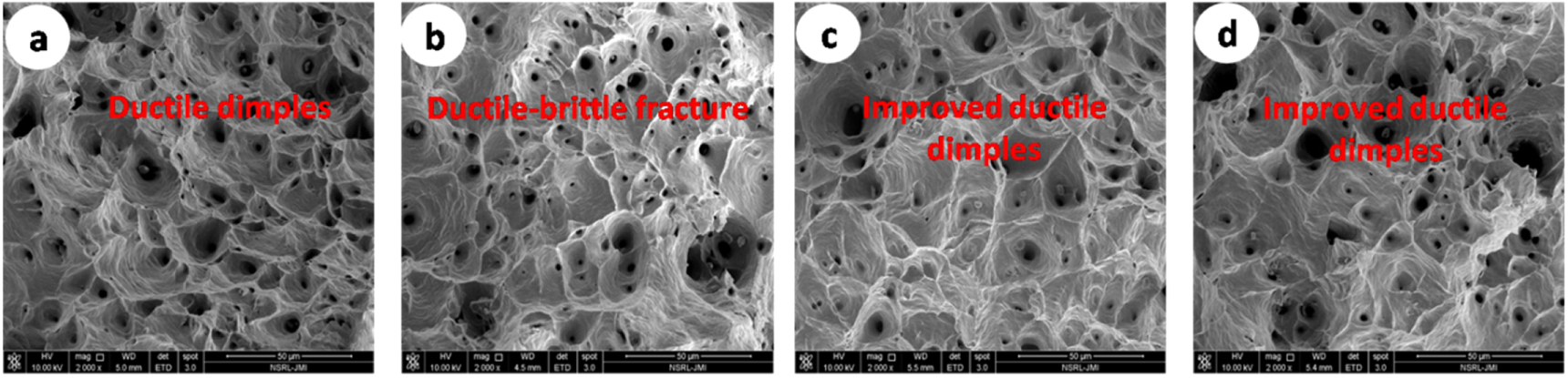 Effects of severe plastic deformation by ECAP on the microstructure and ...