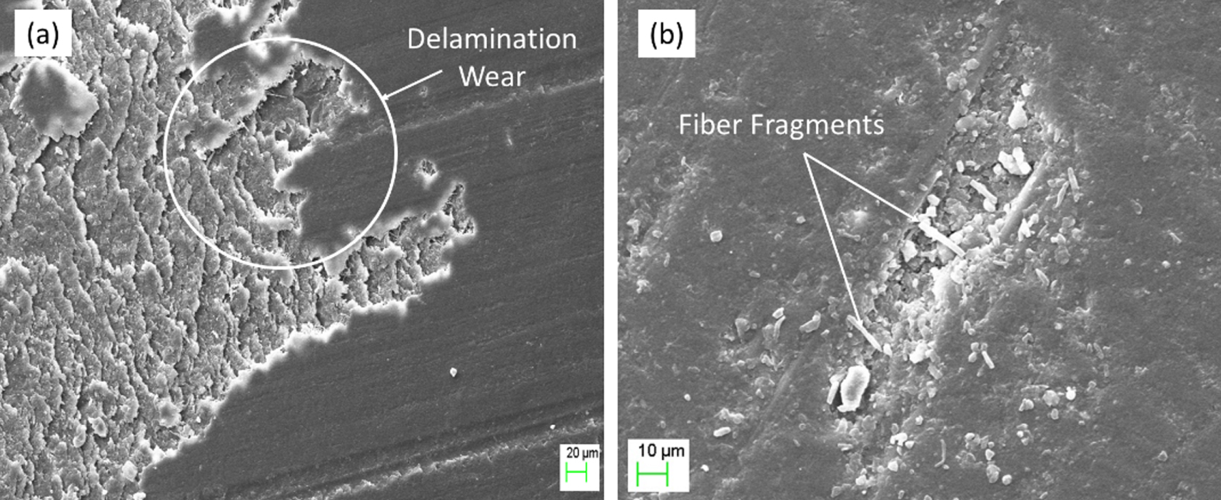 Friction and wear behavior of GNPs functionalized carbon fiber ...