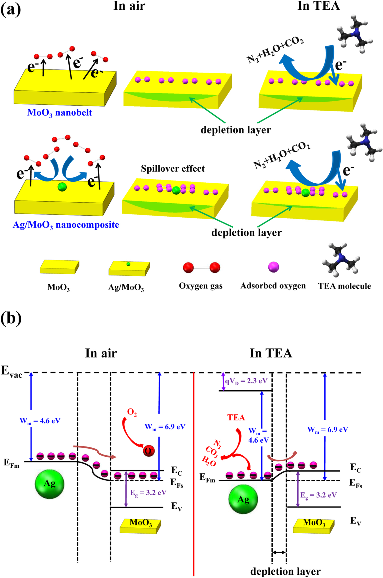 Highly sensitive and selective triethylamine gas sensor based on Ag ...