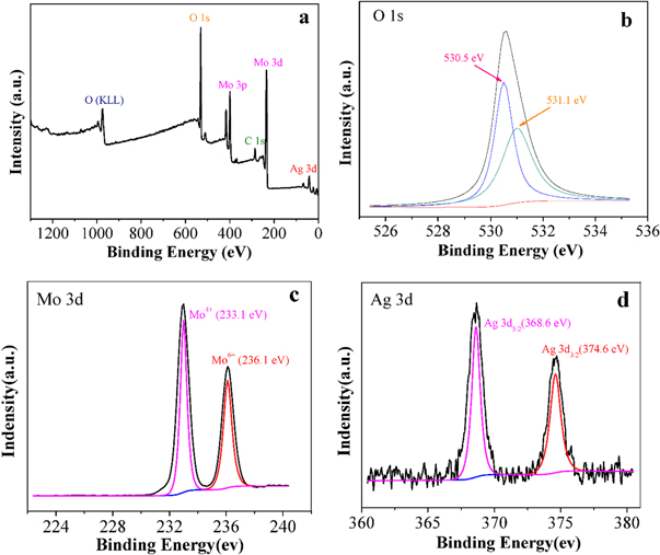 Highly sensitive and selective triethylamine gas sensor based on Ag ...