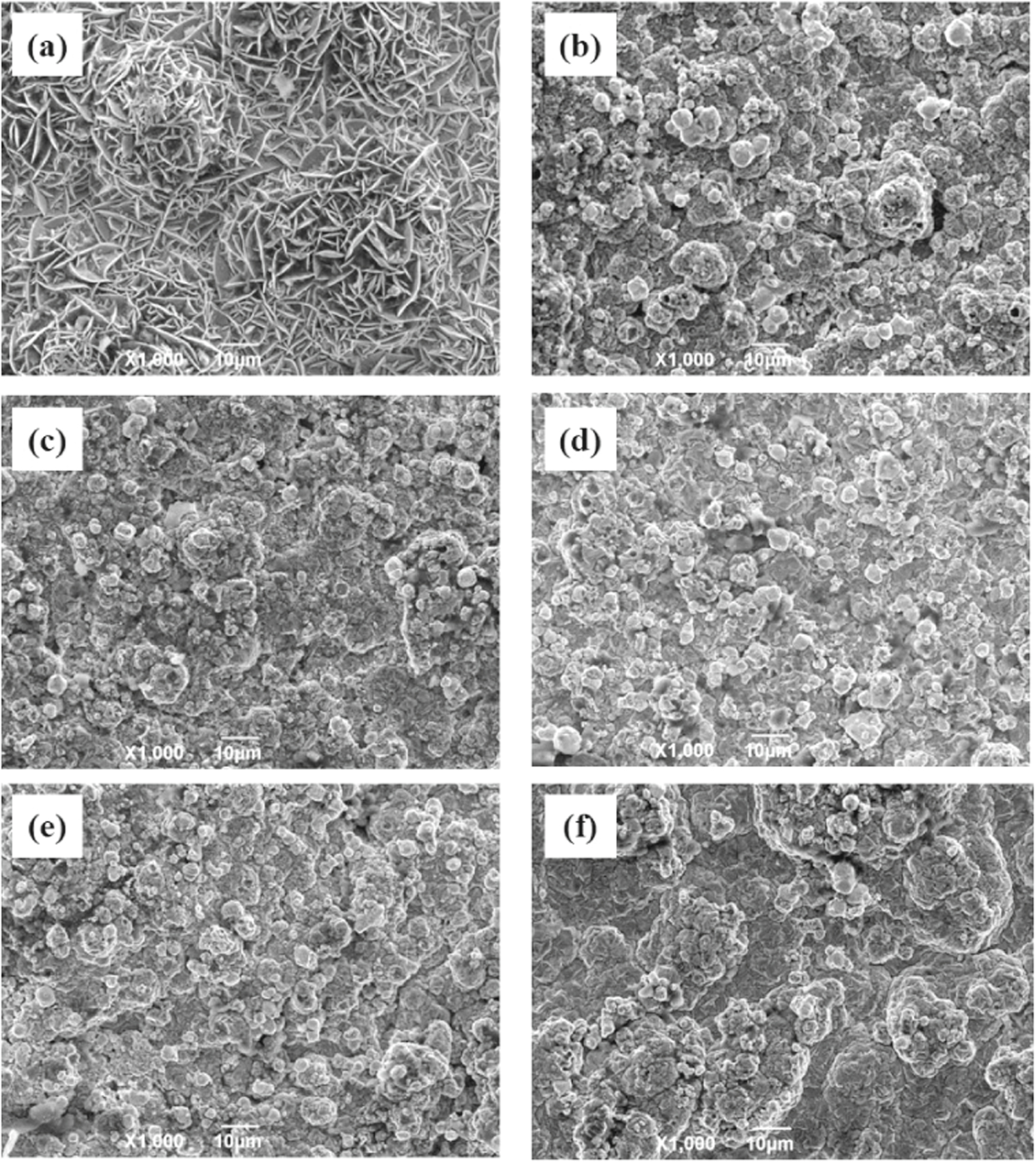 Compression Method For Cwc Coating Electrodeposition, microstructure and property of Co–WC composite ...