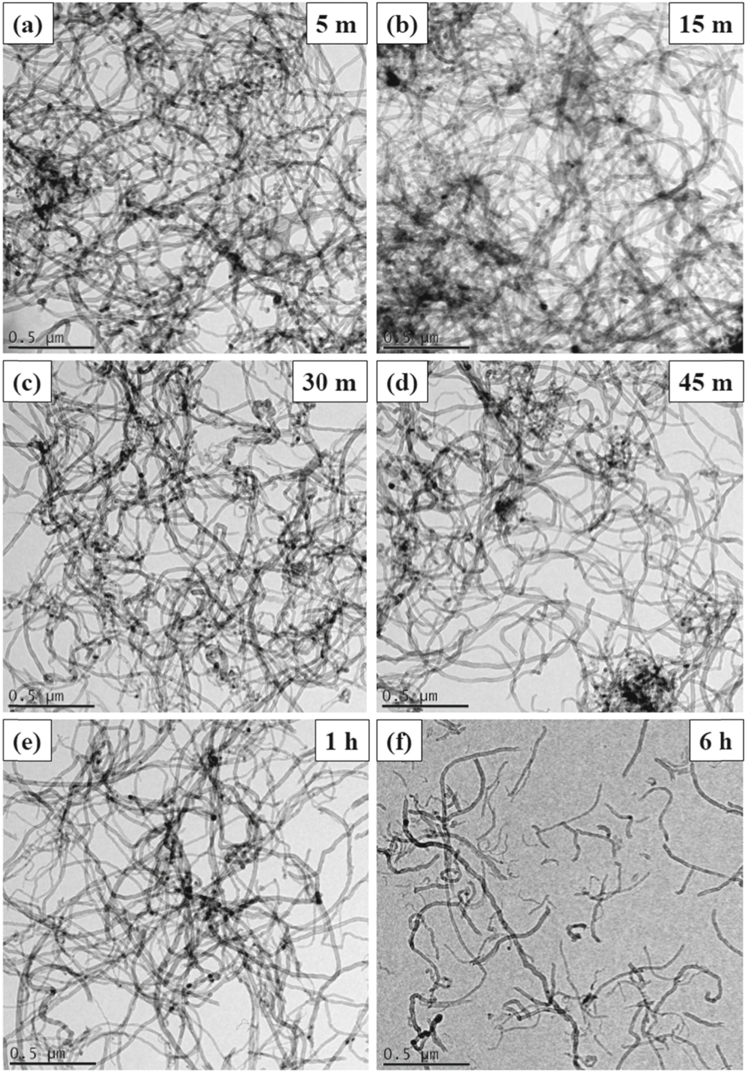 Influence of TiO2 and MWCNT nanoparticles dispersion on microstructure ...