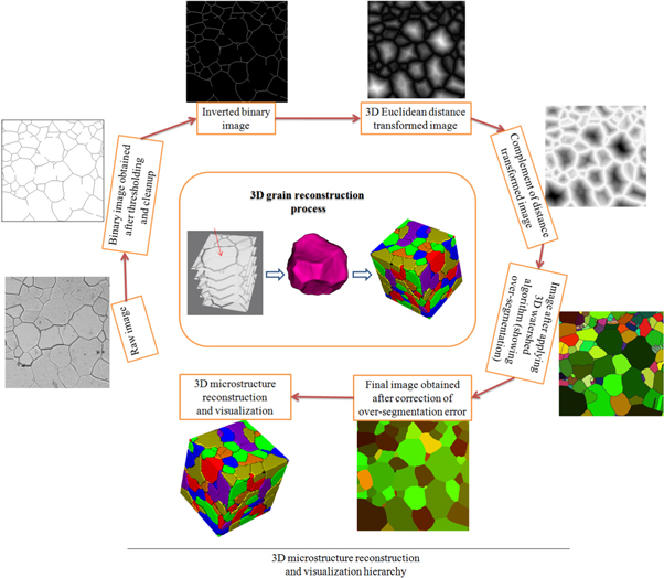 Micrograin Model Evaluation of topology-dependent growth rate equations of three ...