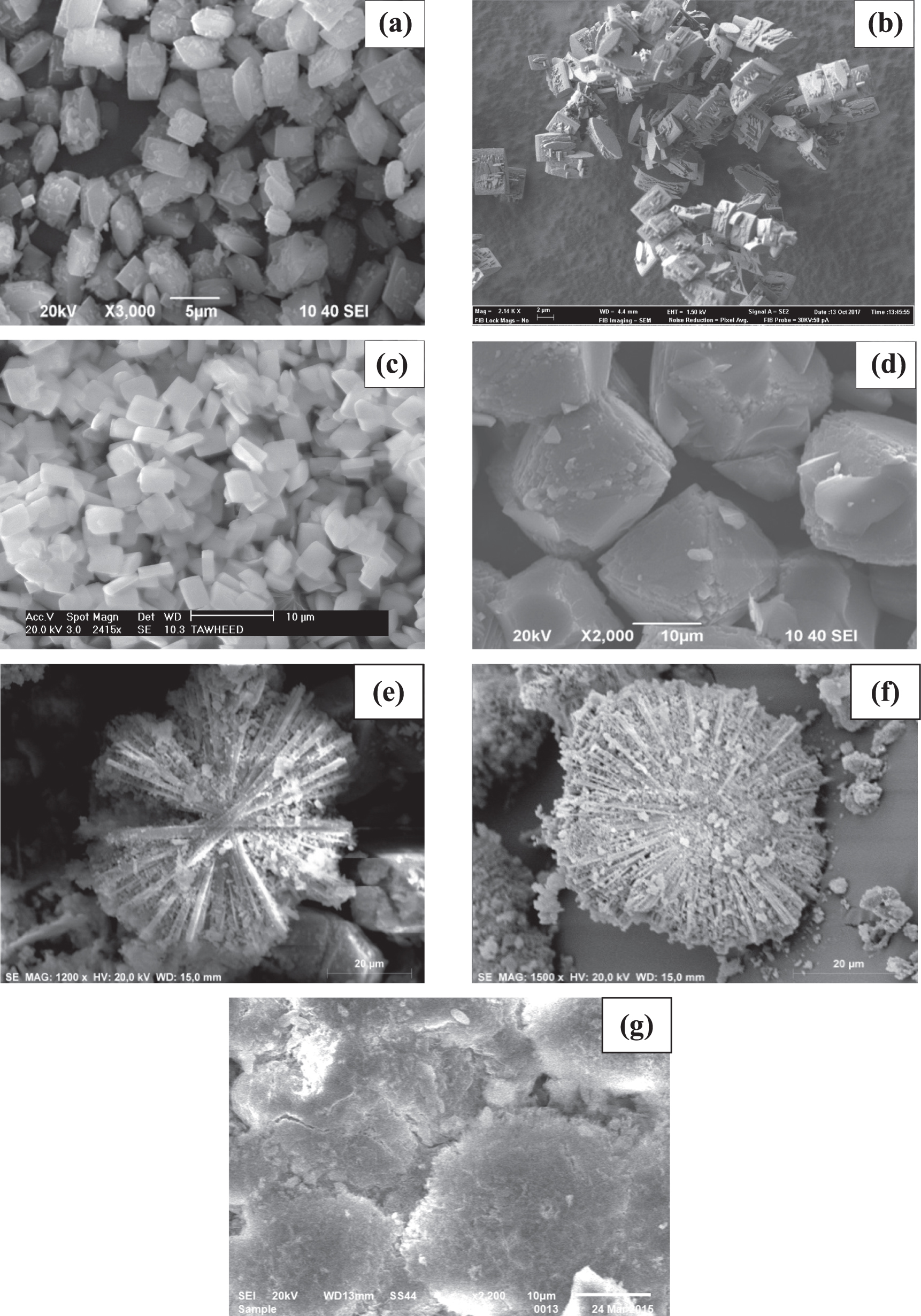 Synthesis of high silica zeolites using a combination of pyrrolidine ...