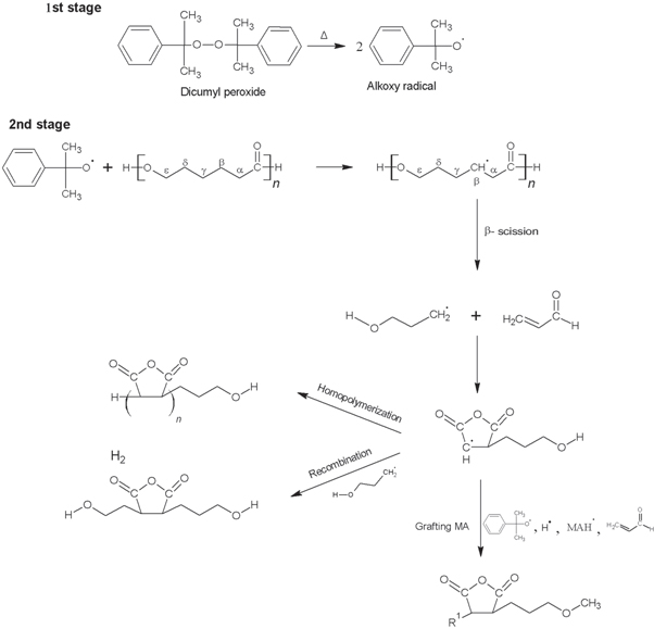 Grafting maleic anhydride onto polycaprolactone: influence of ...