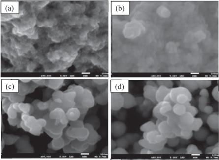 Tio2 Wallpaper Morphological, thermal and optical properties of TiO2 nanoparticles ...
