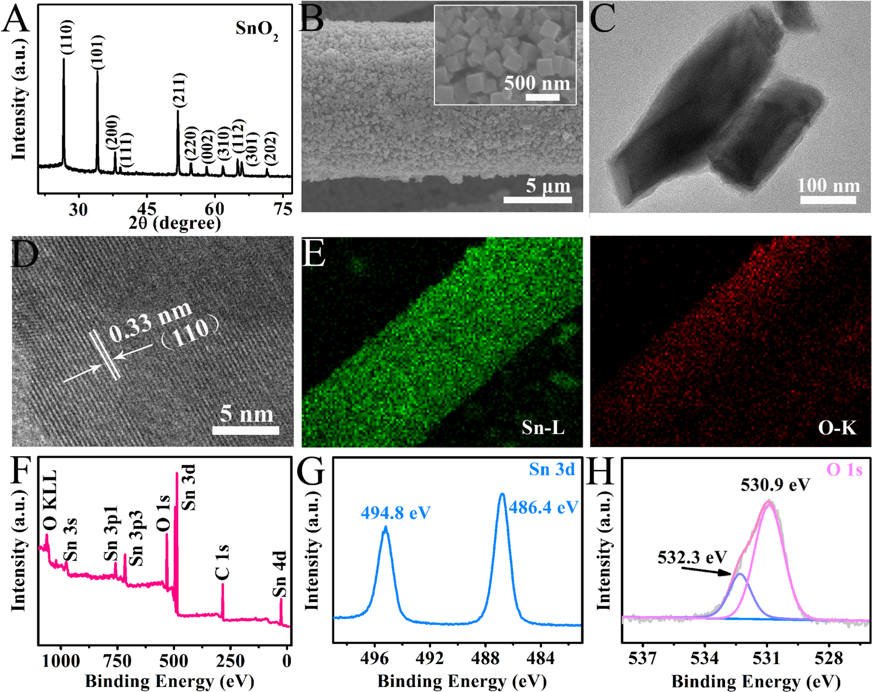 SnO2 nanorod: An efficient non-noble-metal electrocatalyst for non ...