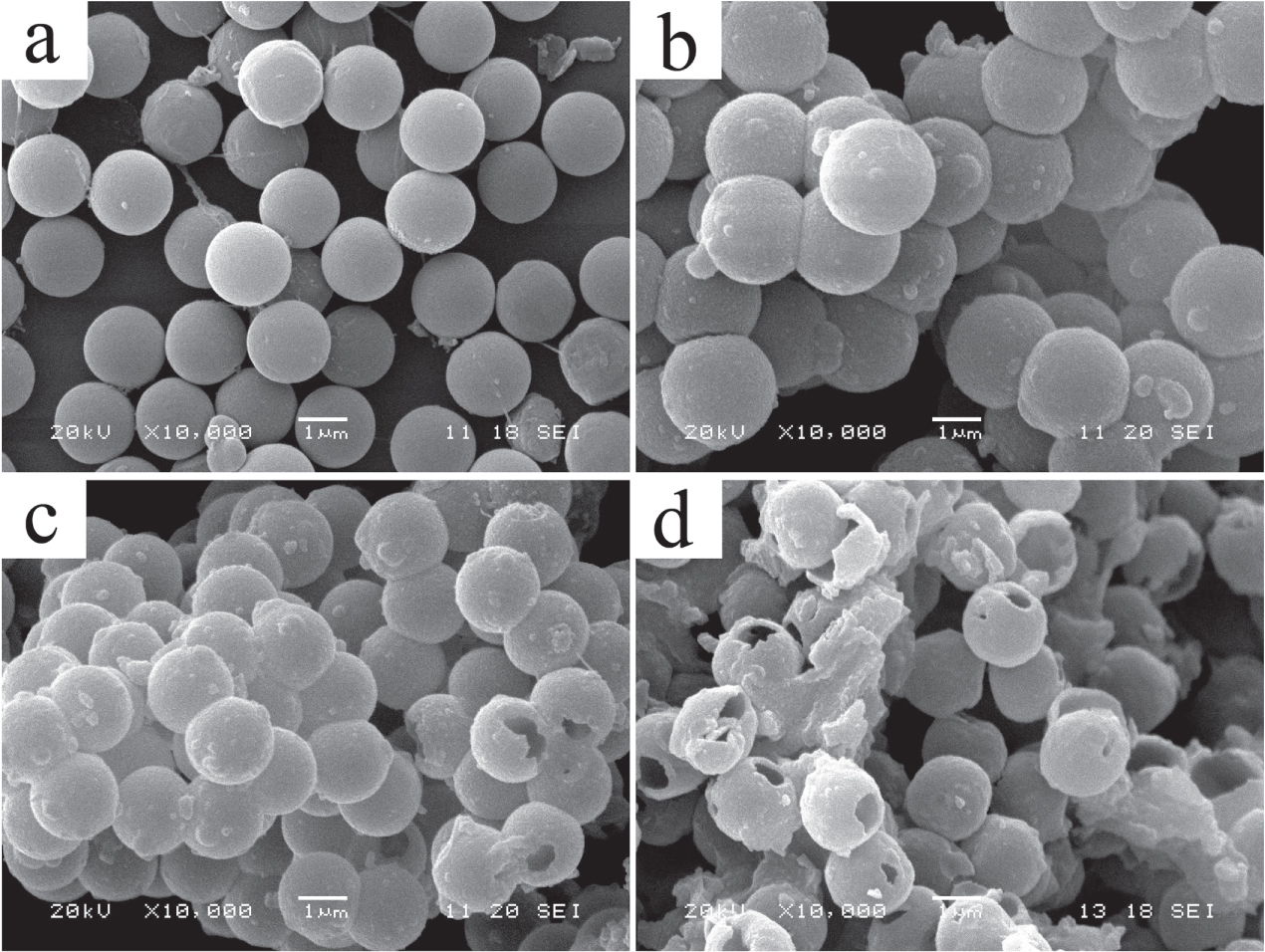 Preparation of hollow yttrium-doped TiO2 microspheres with enhanced ...