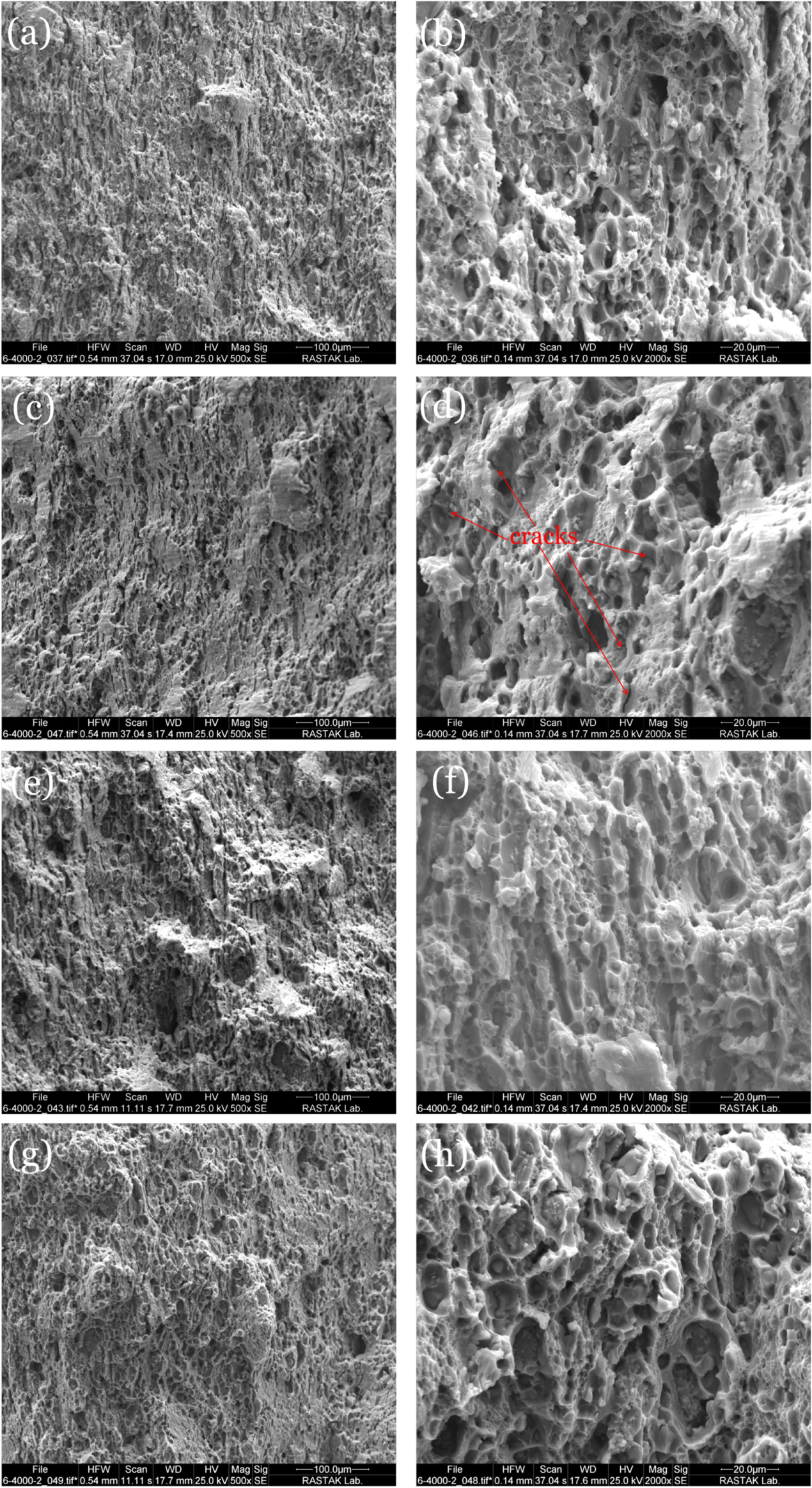 Effect of strain path during cold rolling on the microstructure ...