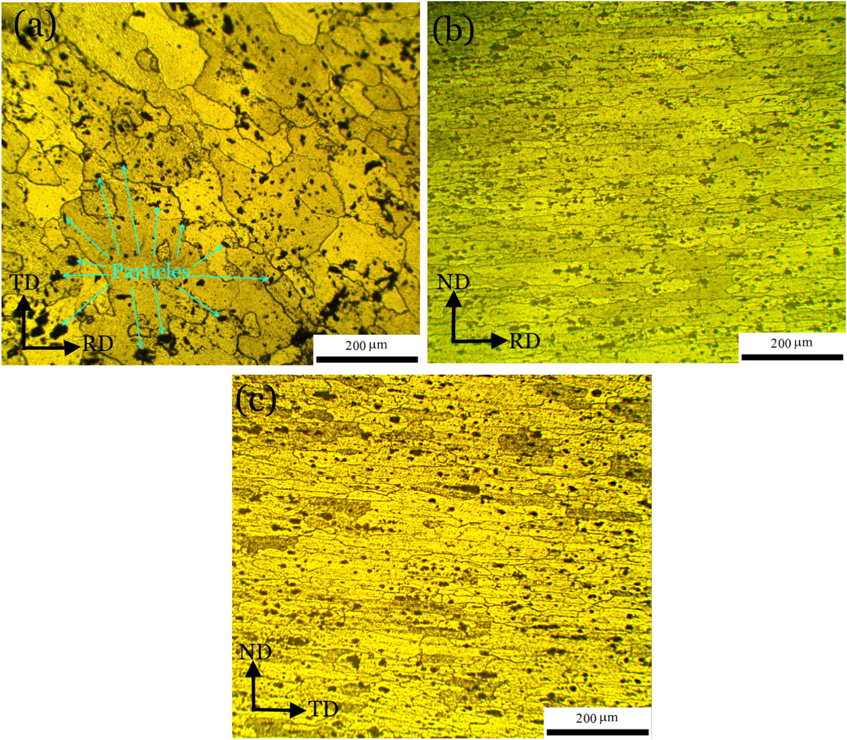 Effect of strain path during cold rolling on the microstructure ...
