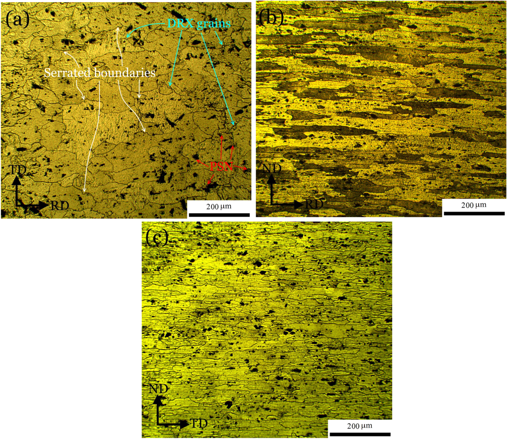 Effect of strain path during cold rolling on the microstructure ...