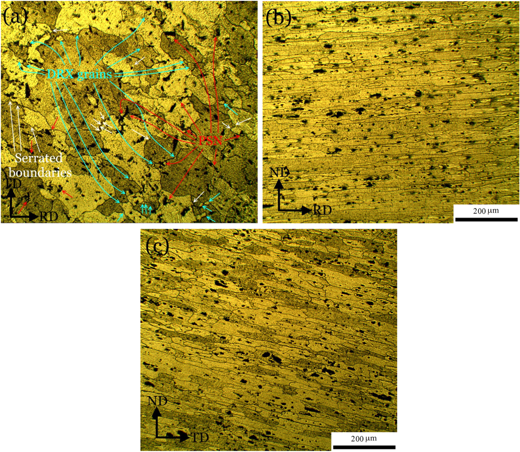 Effect of strain path during cold rolling on the microstructure ...
