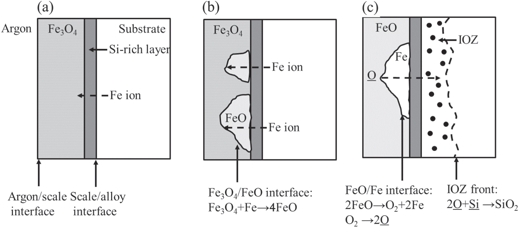 Mechanism of the transition from external oxide scales to internal ...
