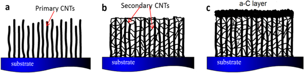 Thermal conductivity enhancement of carbon@ carbon nanotube arrays and ...