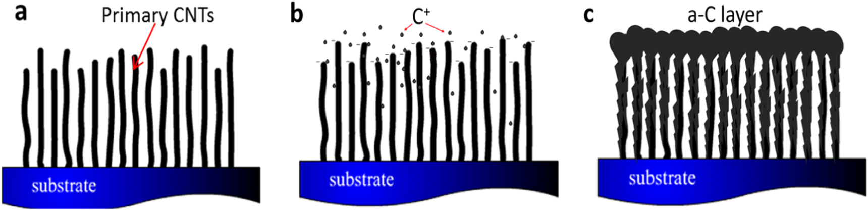 Thermal conductivity enhancement of carbon@ carbon nanotube arrays and ...