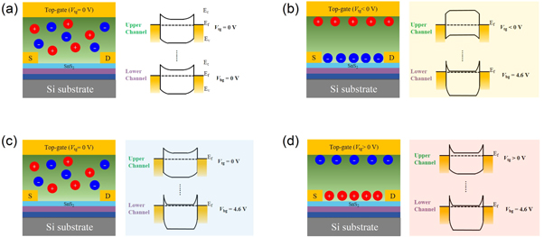 Sns2 Transistor Influence of solid-state electrolyte on 2D SnS2 field effect ...